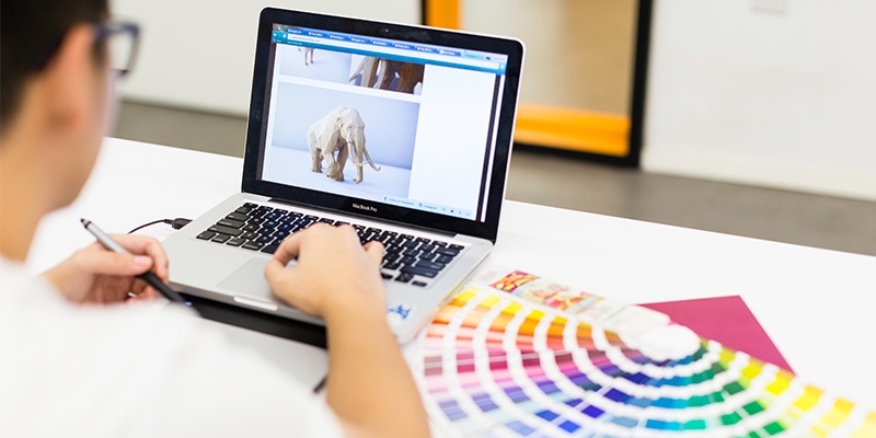 新加坡莱佛士设计学院心理学本科